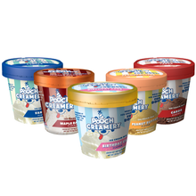 Pooch Cake - Pooch Creamery - Healthy Ice Cream Mix for Dogs: Birthday Cake