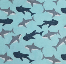 Aqua Shark Boys Infant Toddler Romper