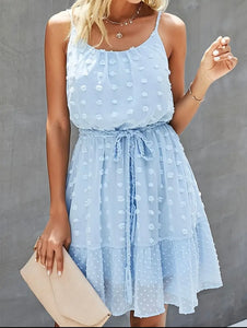 Sky Blue Swiss Dot Fit and Flare Dress