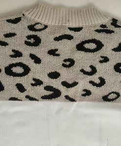 Color Block Leopard Pattern Pull Over V Neck Sweater
