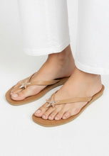 Ccocci Camel Misty Golden Starfish Decor Thong Strap Sandal