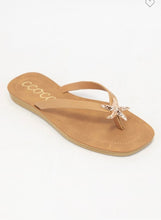 Ccocci Camel Misty Golden Starfish Decor Thong Strap Sandal
