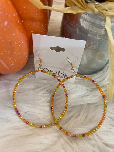 Fall Multi Color Seed Bead Hoop Earrings